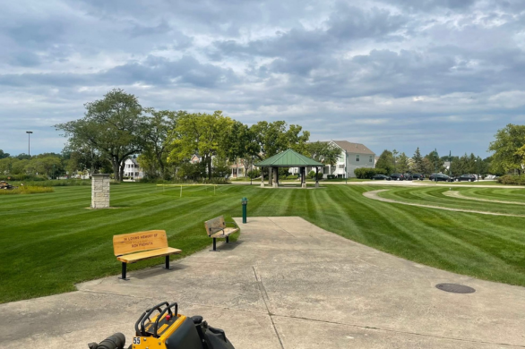 Landscape Maintenance Image