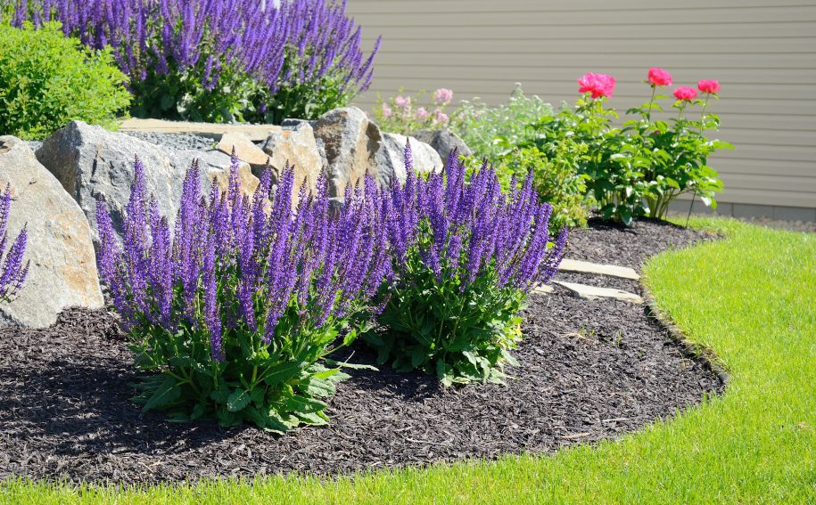 When Should I Start Spring Landscaping and Planting in Northern Indiana?