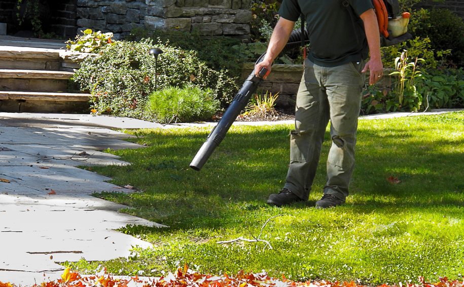 What Fall Landscaping Services Should Every Commercial Property Owner Schedule?