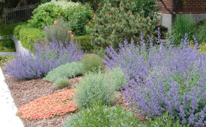 How Does Commercial Landscaping Improve the Customer Experience?